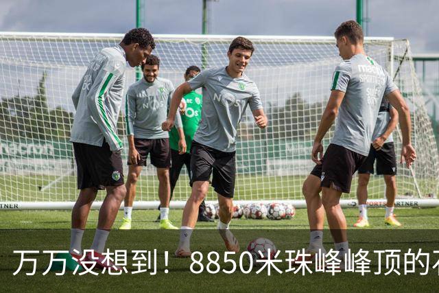 万万没想到！8850米珠峰峰顶的石头，竟来自4亿年前的海底！