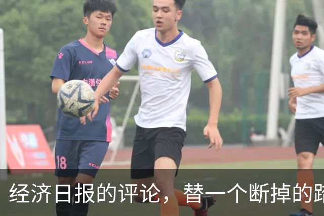 经济日报的评论，替一个断掉的踏板撑腰